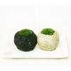 苔盆栽・山苔