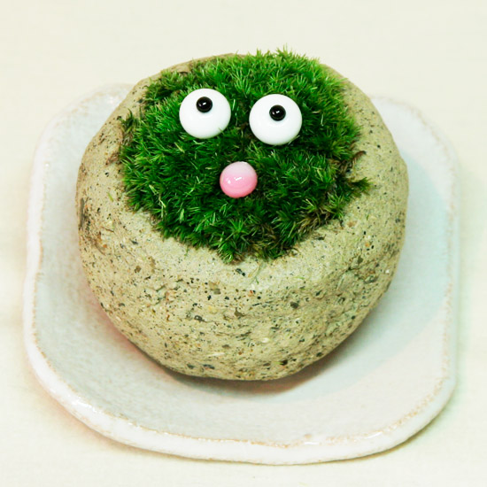 ミニ盆栽・山苔・モス顔
