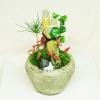ミニ盆栽・門松盆栽