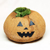 ミニ盆栽・苔盆栽「ハロウィンのかぼちゃ風苔盆栽」