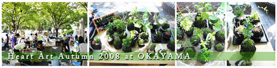 はーとアートオータムン2008岡山風景