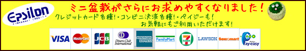 盆栽通販ショップではクレジットカード決済・コンビニ決済・ネットバンク決済・電子マネー決済・ショッピングクレジット決済などご利用いただけます！