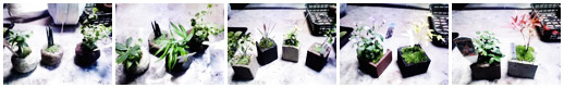 ミニ盆栽mossminのイメージ画像
