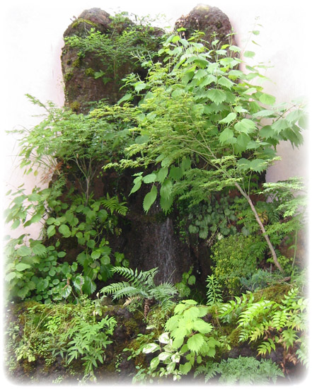 盆栽・庭セット・苔盆栽・特注オーダー「創景岩（そうけいがん）」