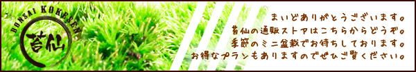 盆栽通販ストアへ