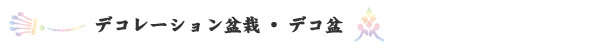 デコレーション盆栽・デコ盆についてご紹介